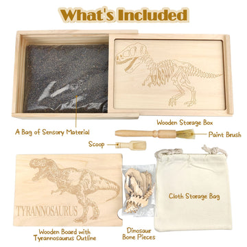 Xylolin Dinosaur Excavation Kit - Sensory Bin Toys for Kids, Medium Size, Brown, Includes Dino Skeletons and Bones Puzzle Game