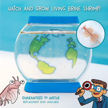 WONDERY KIDS SEA Creatures Aquarium | Hatch & Raise Brine Shrimp | STEM Toy for Kids 6+ | Model 545007 | Easy Care, Customizable Tank
