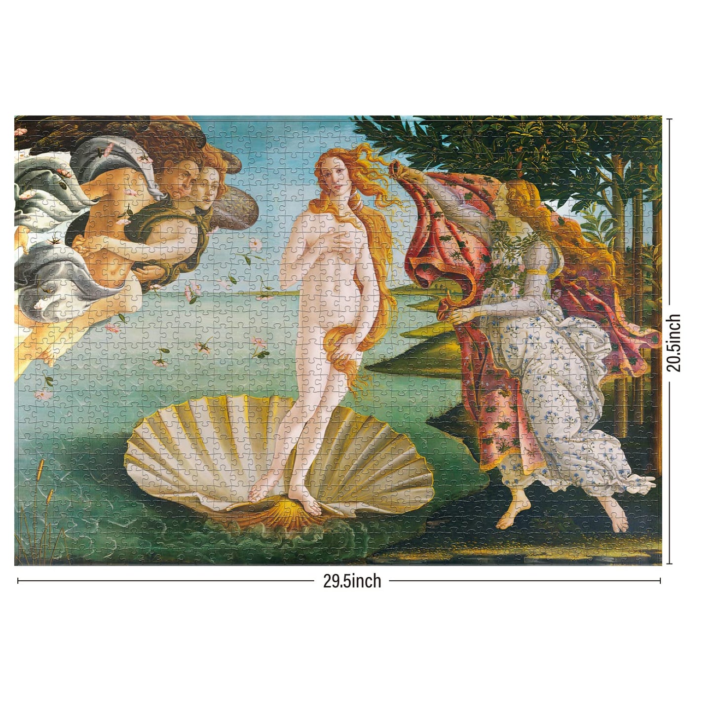 Antelope - 1000 Piece Puzzle For Adults, Birth Of Venus Jigsaw Puzzles 1000 Pieces, Sandro Botticelli Officially Licensed, High