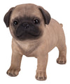 Pacific Giftware Realist Look Pug Puppy Standing Resin Figurine Statue