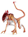 Aliens - 7' Scale Action Figure - Ultimate Kenner Tribute Panther Alien