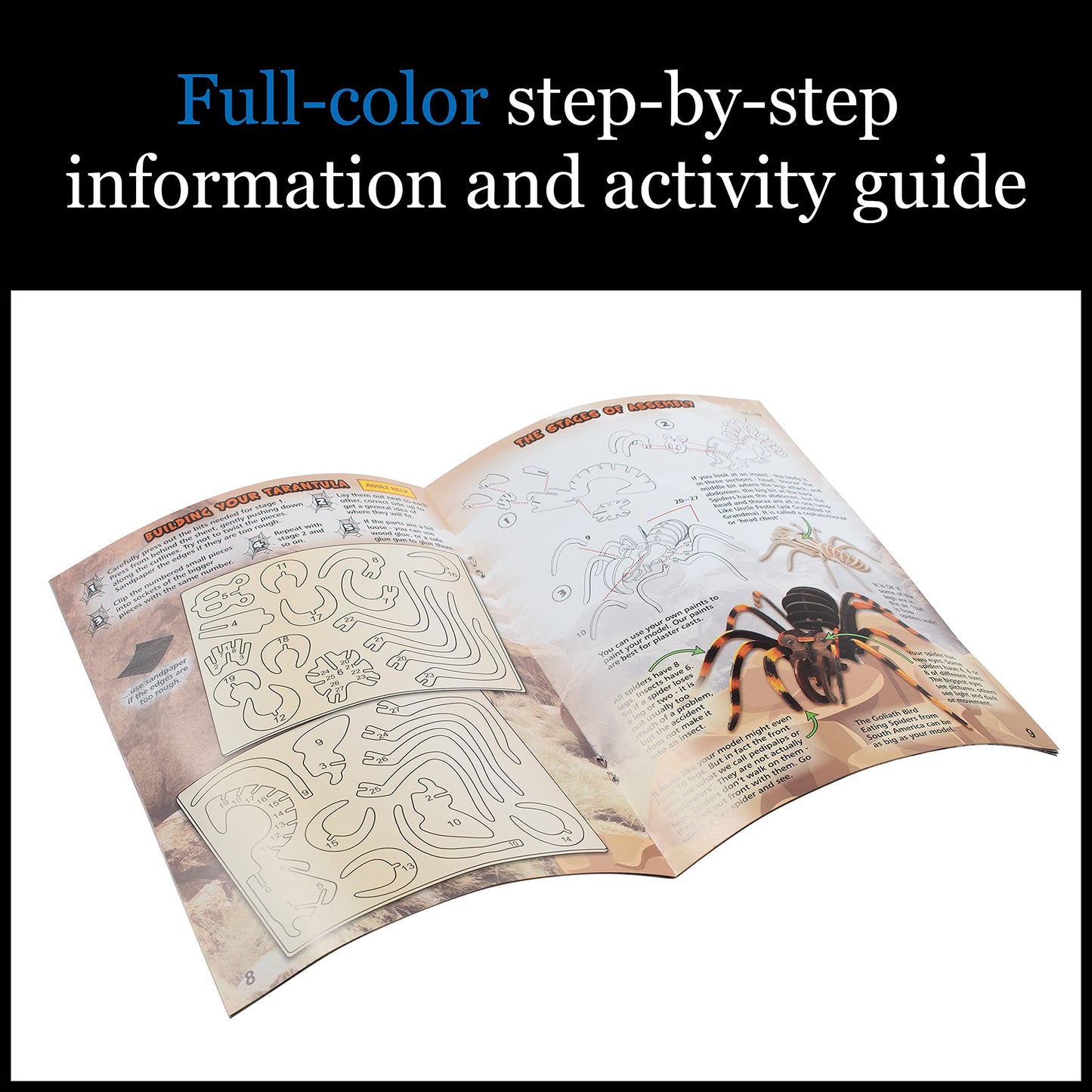 Extreme Science Kit Spiders Of The