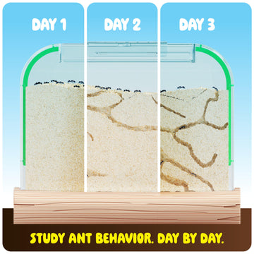 Ant Farm Kit For Kids - Farms Colony - Includes Ants Voucher - Sand Habitat Kits - Bug Terrarium House - Educational Science Gifts For Kid - Nature Learning Toys For Boys, Girls & Adults