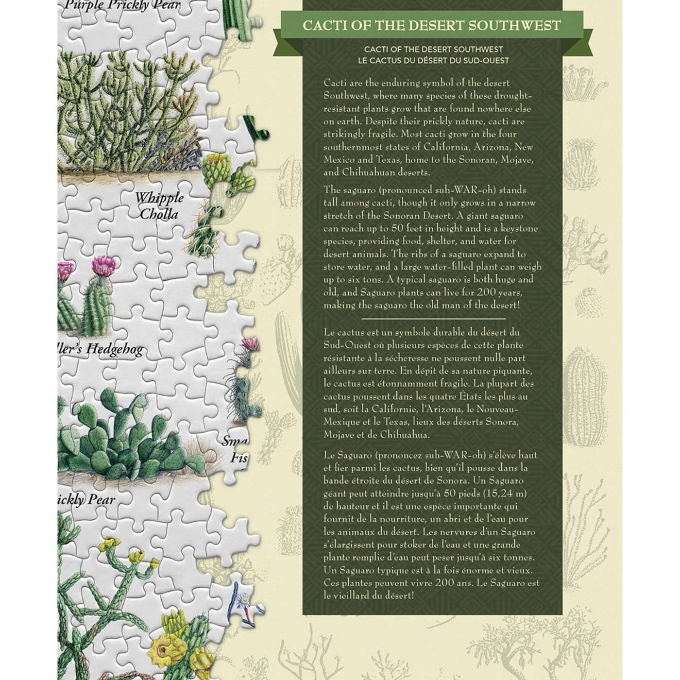 Masterpieces 1000 Piece Jigsaw Puzzle For Adults, Family, Or Youth - Cacti Of The Desert Southwest - 19.25'X26.75'