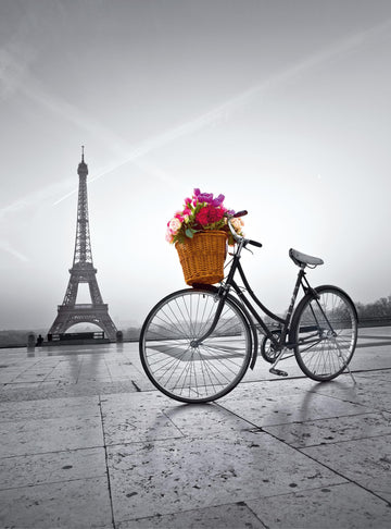Clementoni Romantic Promenade in Paris Puzzle - 500 Piece, Model 35014