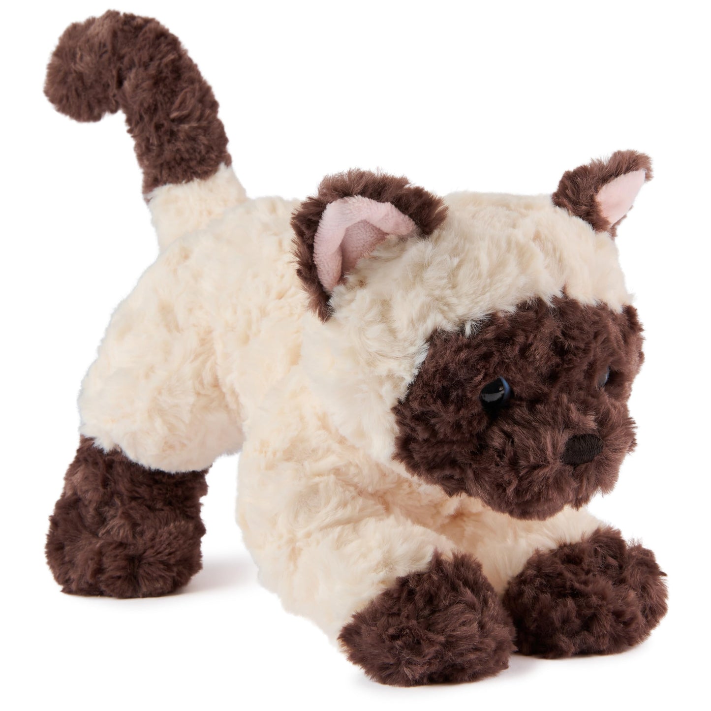 Gund Bootsie Siamese Kitten Plush Toy, Premium Cat Stuffed Animal For Ages 1 And Up, Cream/Brown, 9