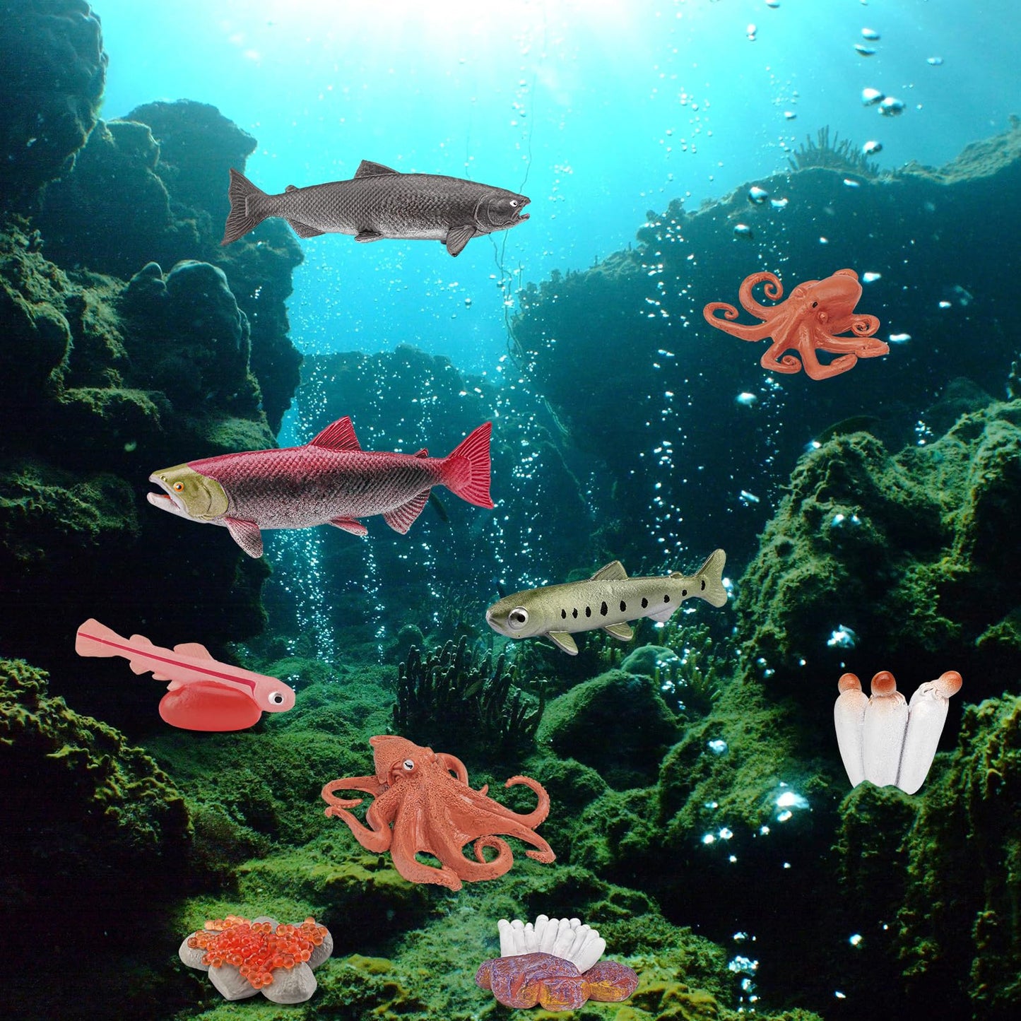 Fish Life Cycle Of Octopus Figurines Salmon Figurines Octopus Figures Set Toys Realistic Animals Preschool Animals Eduactional P