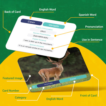 Spanish Vocabulary Flash Cards - 75 Beginner Vocab With Pictures - Memory & Sight Words, Travel & Quick Reference - Educational Language Learning Game Play - Kids, Grade School, Classroom, Homeschool