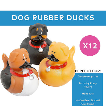 Fun Express Dog Rubber Duckies - Party Favors and Giveaways (Set of 12 Ducks)