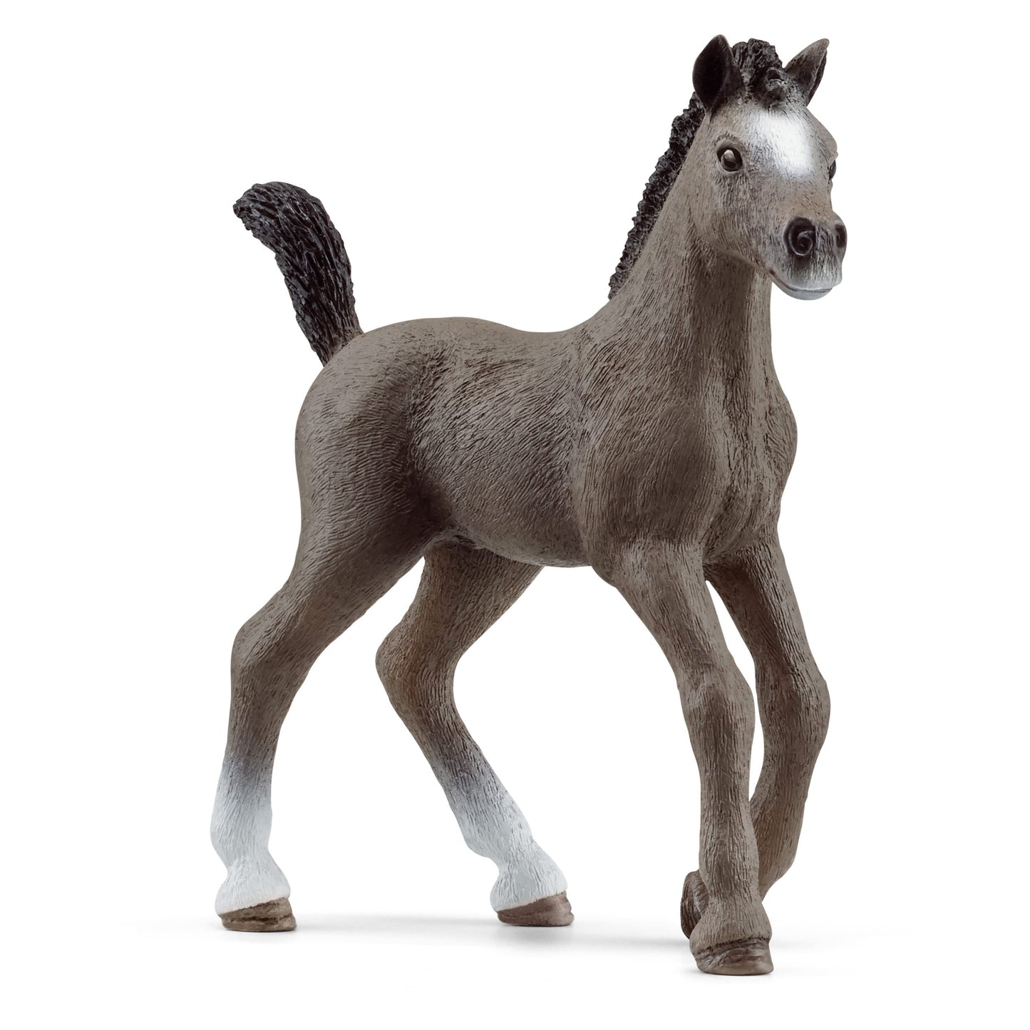 Schleich Horse Club Realistic Cheval De Selle Francais Foal Horse Figurine - Detailed Horse Toy, Durable For Education And Imaginative Play For Girls And Boys, Gift For Kids Ages 5+