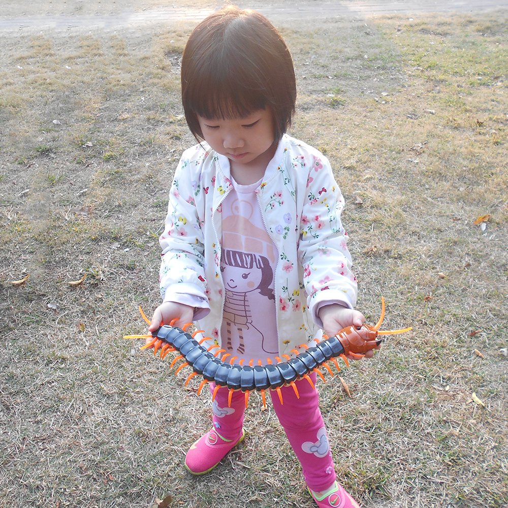 Tipmant Simulation RC Centipede Scolopendra Realistic Remote Control Vehicle Car Animal Insect Large Size Electric Prank Toy Kid