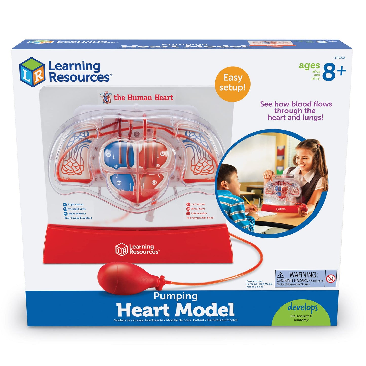 Learning Resources Pumping Heart Model - 1 Piece, Grades 3+ | Ages 8+ Educational Science Kit, Science Education Supplies, Science Teaching Supplies,Back To School Supplies,Teacher Supplies