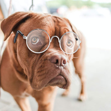 3 Pairs Doll Glasses Metal Wire Rim Clear Lens Eyewear Fabric Doll Dress Up Eyeglasses Mini Dolls Costume Accessories For 18 Inc