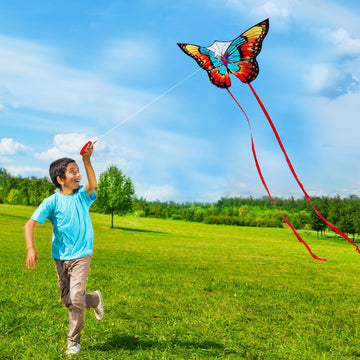 Xida Rainbow Butterfly Kites For Kids & Adults,Easy To Fly Beginner Kite, Large Single Line Kite For The Beach, Outdoor, Easy Fl