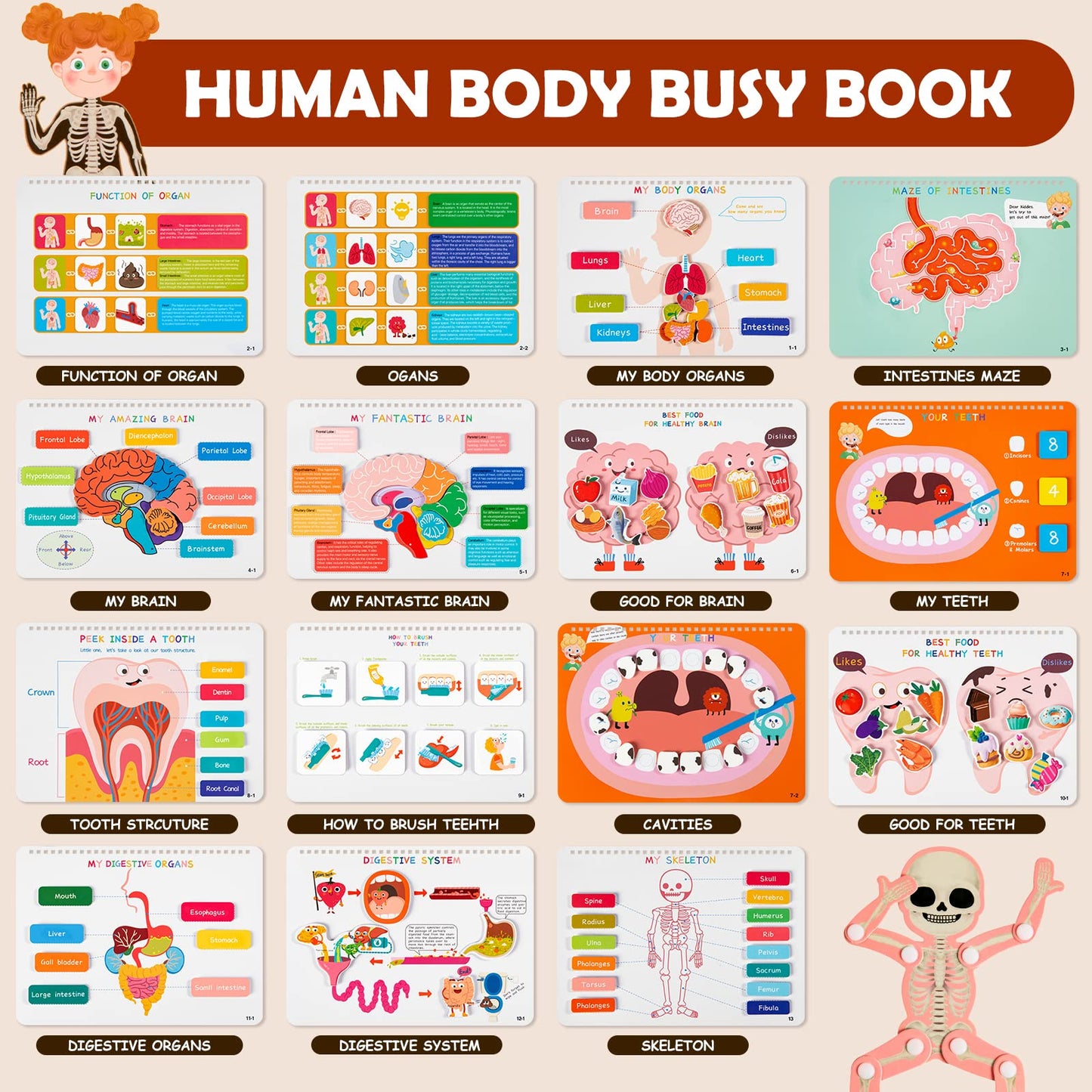Freebear Montessori Busy Book For Kids, Human Body Anatomy Book For Toddlers, Preshool Kindergarten Learning Activities, Autism Sensory Toys, Travel Toys, Gifts For Girls And Boys 4 5 6 7 8 Years