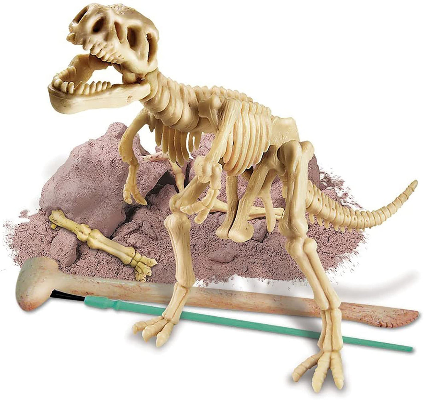 4M Kidzlabs Dig A Dino Tyrannosaurus Rex, Paleontology Skeleton Fossil Dinosaur Discovery - Stem Toys Educational Gift For Kids & Teens, Girls & Boys