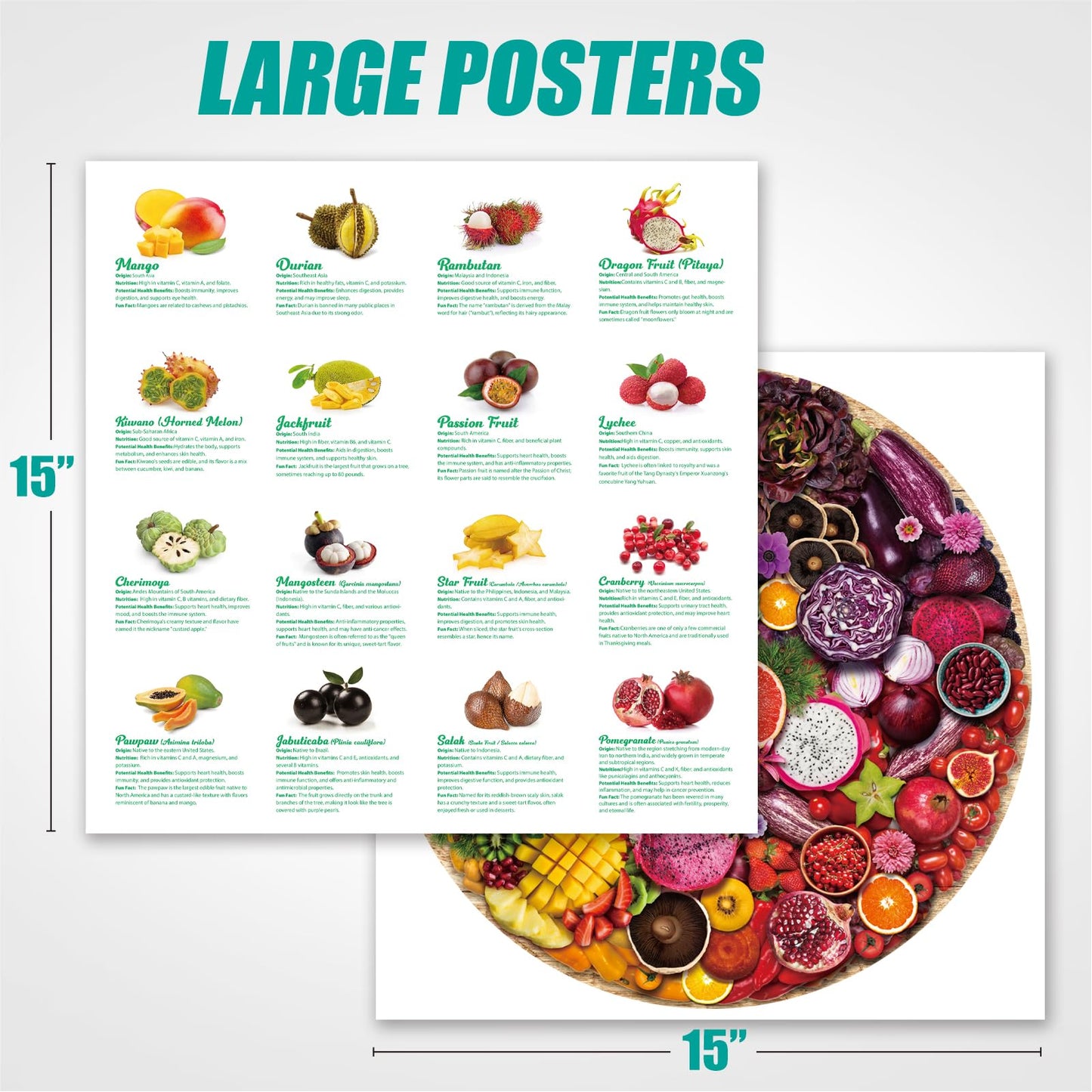 Antelope - 1000 Piece Puzzle for Adults, Harvest Platter - Jigsaw Puzzles 1000 Pieces, High Resolution, Matte Finish, No Dust