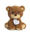 Aurora Inspirational Precious Moments Charlie Bear Stuffed Animal - Cherished Memories - Enduring Comfort - Brown 8.5 Inches