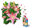 Madd Capp: I Am Lily - 350 Piece Jigsaw Puzzle - 8002 - Ages 10+, Unique Floral-Shaped Border, Challenging Random Cut, Includes