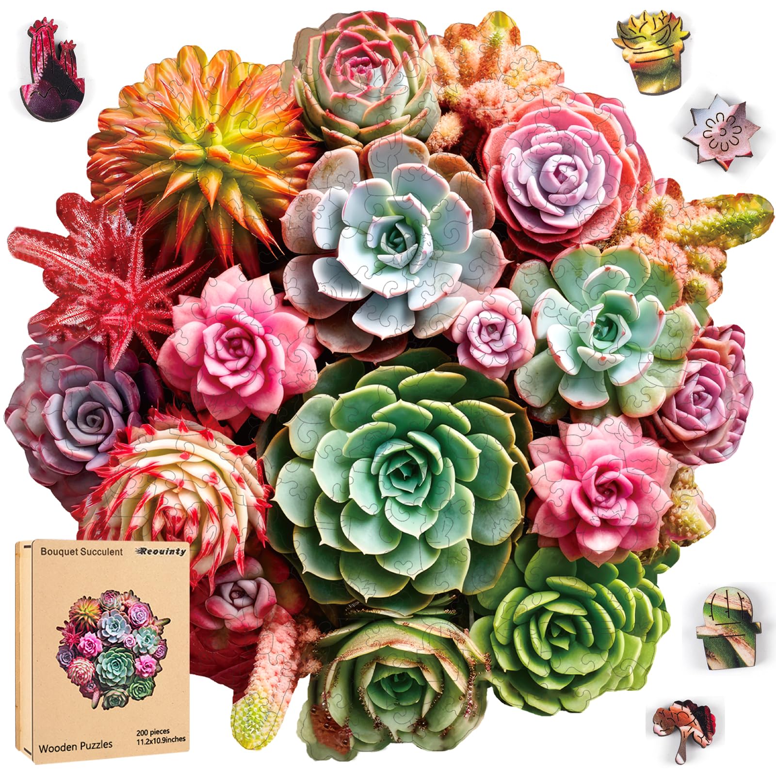 500 piece succulent puzzle Wooden Puzzles For Adults 500 Piece, Colorful Succulent Puzzle For Mom – Toytooth