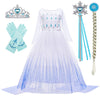 Bankids Snow Queen Act 2 Costumes Princess Dresses For Girls With Wig,Crown,Magic Wand,Gloves Accessories 4T 5T(110,K11)