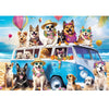 100 Piece Puzzles for Kids Ages 4-8 Kids Puzzles Ages 4-6 6-8 Jigsaw Puzzles for 4 6 8 Year Old Kid 100 Piece Puzzle for mature-themed Senior Dog Animals Beach Puzzle Easy Jigsaw Puzzle Games Gift