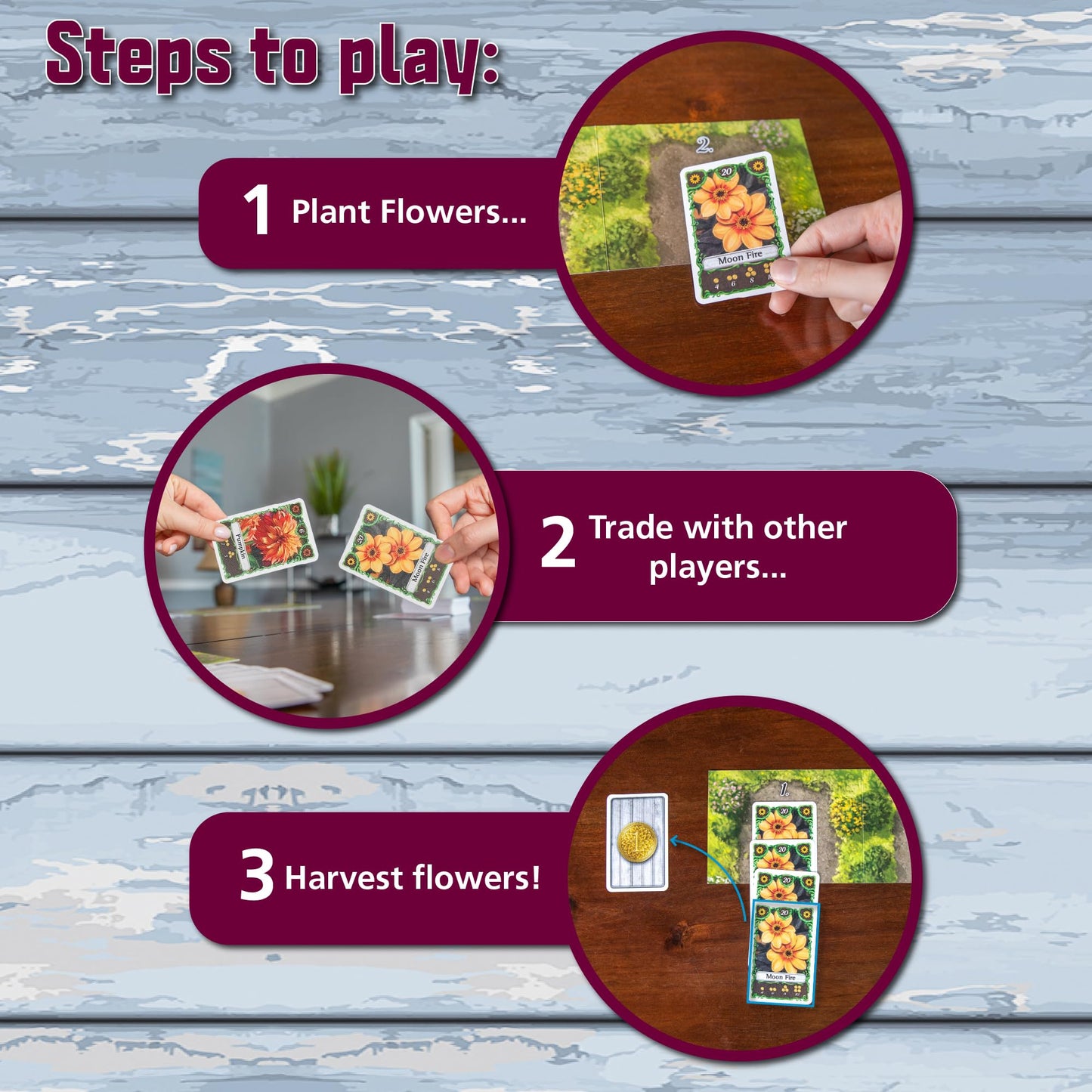Amigo Games Bohnanza Dahlia - Trade Your Way To Flowers, Money, And Victory! Plant Dahlias, Trade Blooms, And Sell Flowers To Make The Most Money! Perfect For Game Night Ages 10+