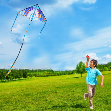 HONBO Large Kites for Adults & Kids,Easy Flyer Large Kite with Long Tails, The Beginner Kites for Kids Ages 4-8, Comes with 200f