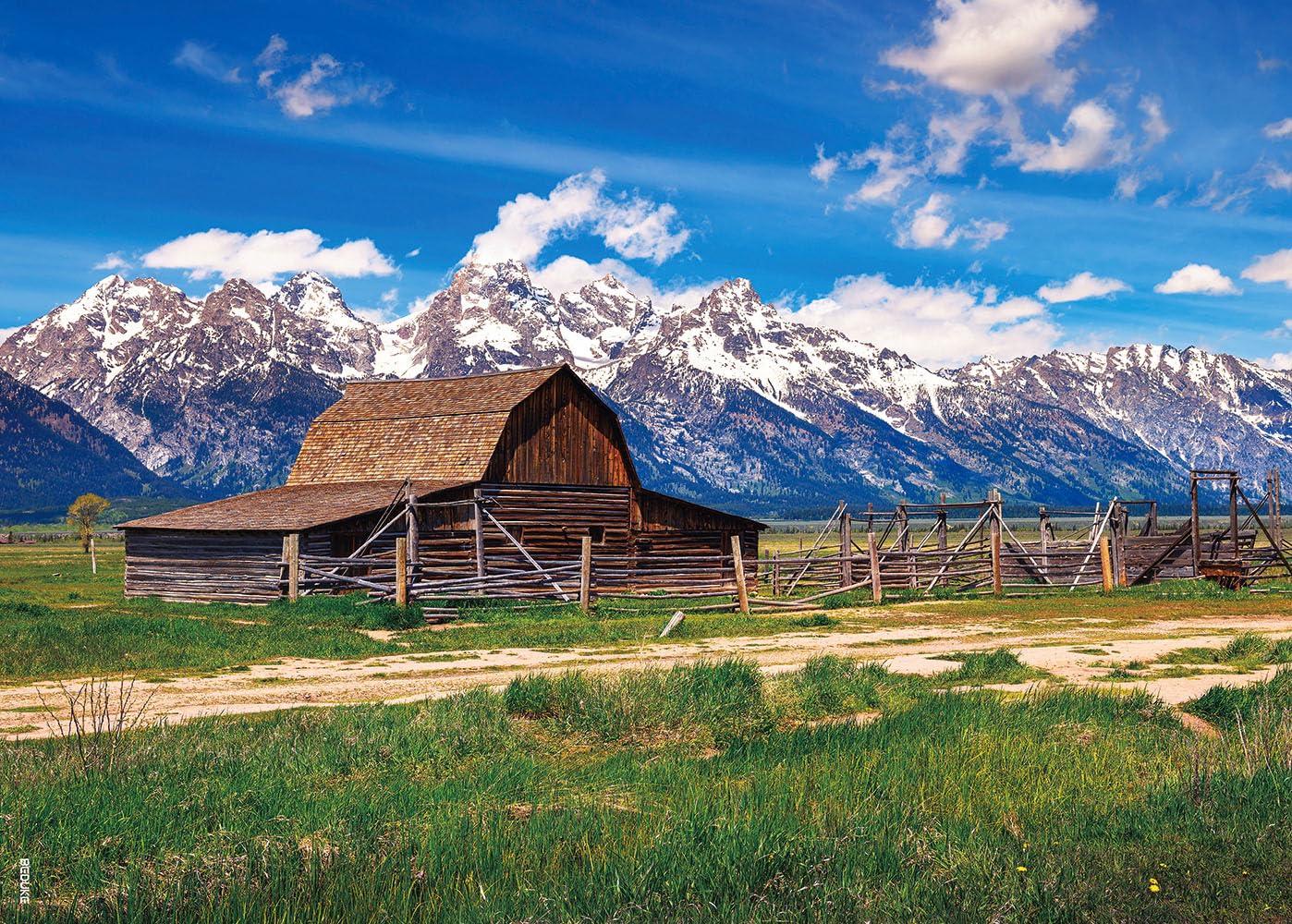 Beduke Jigsaw Puzzles For Adults 1000 Pieces Grand Teton National Park Precise Interlocking Thick Sturdy Cardboard Family Game 1