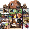 Dachshund Dogs 500 Piece Puzzles For Adults & Teens, Jigsaw Puzzles 500 Pieces For Dachshund Lover, Doxie Dad & Doxie Mama, Fun Dog Puzzle For Dachshund Jigsaw Puzzles Lover