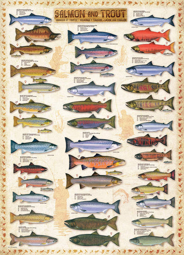 EuroGraphics 1000-Piece Salmon and Trout Puzzle, Multicolor Cardboard, Model EUROPZ-0311