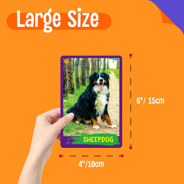 My First 120 Animals, 60Pcs Realistic Zoo Animal Cards Farm/Wild/Marine Animals/Insects/Birds Flashcards Montessori & Science Educational Toys Preschool Learning For Homeschool Preschool Toddler Kids