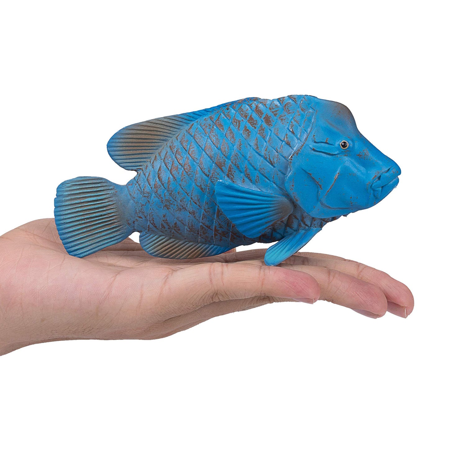 MOJO Blue Grouper Hand Painted Toy Figurine - Realistic Wildlife Model - Non-Phthalate PVC - Mixed Color - Model 387356