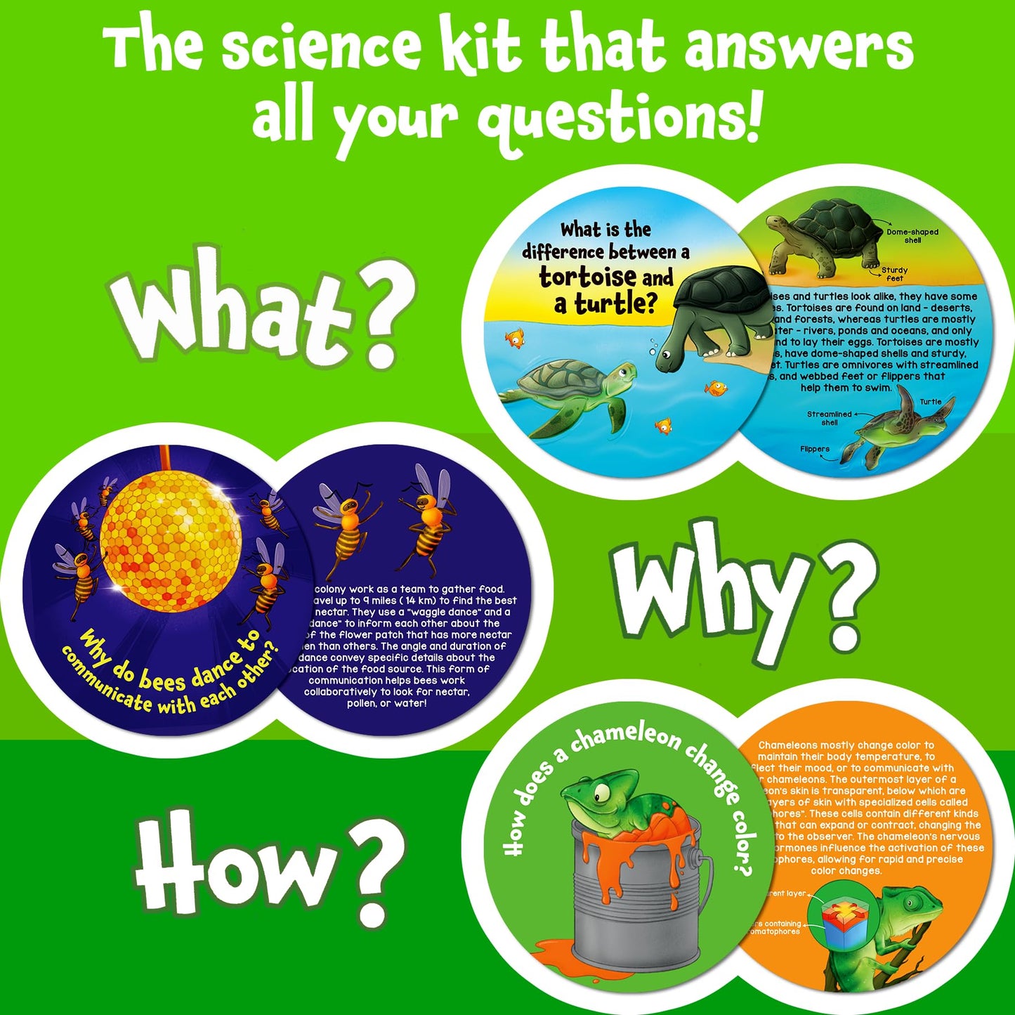 Skillmatics Flash Cards - Science Snippets Animals, Learning Resources & Educational Toys For Boys & Girls, Gifts For Ages 7, 8, 9 & Up