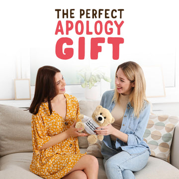 Witty Enterprise 10 Beige Teddy Bear with Gift Bag - Funny Apology Plush for Girlfriend, Boyfriend, Best Friend