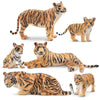 Toymany 6PCS Realistic Tiger Figurines Set, 2-6" Plastic Jungle Animals, Educational Cake Toppers for Kids, Gift for Toddlers