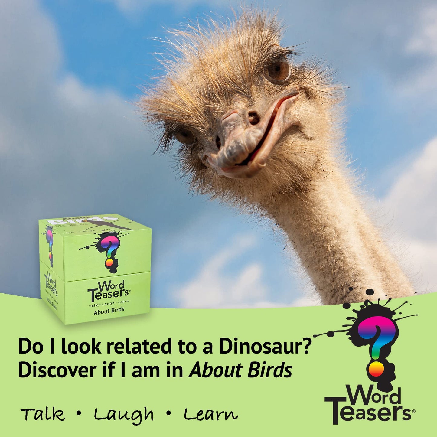 ? Word Teasers About Birds Conversation Starters - Conversation Cards For Bird Lovers - Gifts For Bird Watchers - Bird Game Trivia Cards - Fun Family Games - 150 Questions