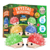 XXTOYS Crystal Growing Kit - 4 Colorful Hedgehogs - STEM Science Kit for Kids Age 6-12 - Plastic Educational Toy