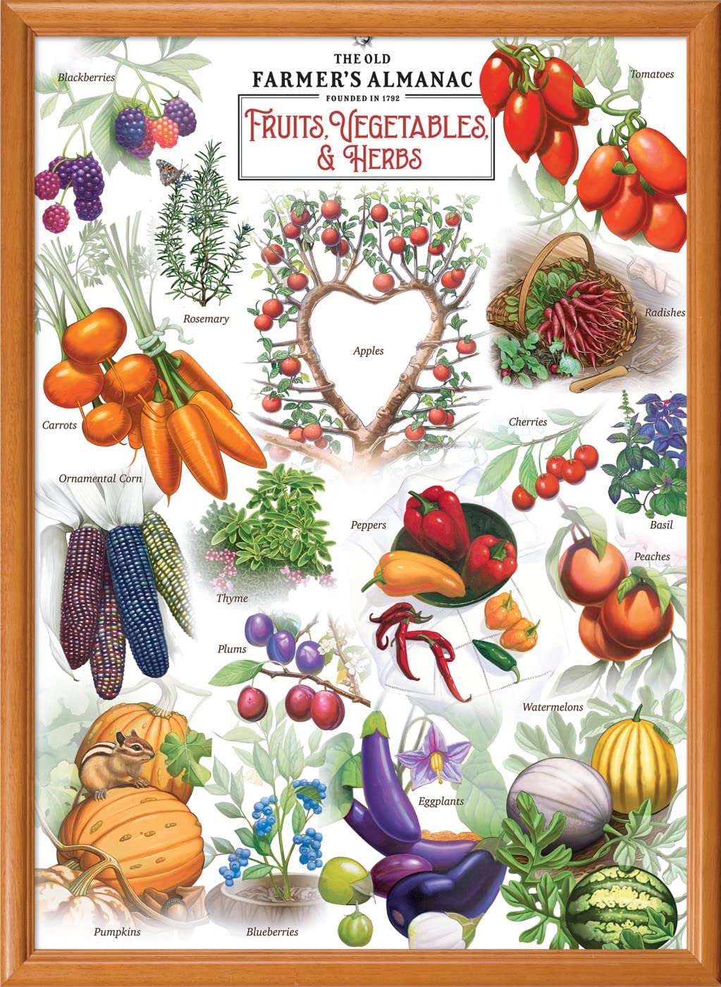 Fruits Vegetables & Berries 1000 Pc