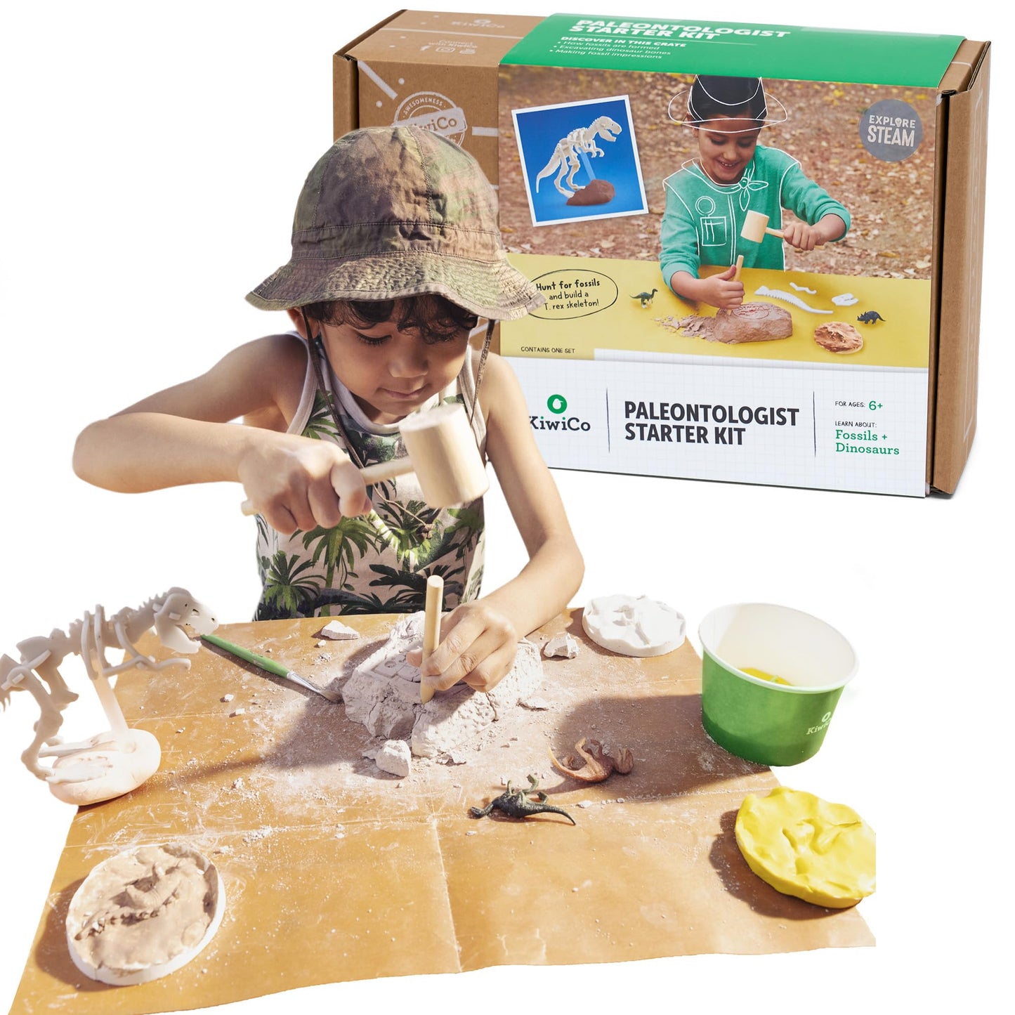 Kiwico Dinosaur Fossil Dig Kit For Kids Age 6+ | Excavate & Build Dinosaur Skeleton, Make Fossil Impressions | Stem Paleontology