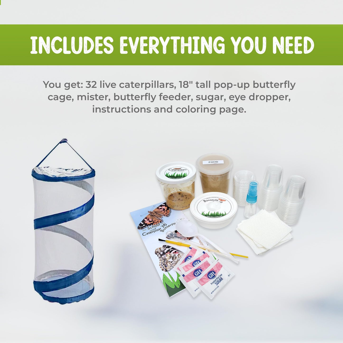 Nature Gifts Live Butterfly Kit - School-Sized Educational Experience With 32 Painted Lady Caterpillars - Pop-Up Cage, And Compr