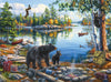 Buffalo Games - Darrell Bush - Blue Sky Reflection - 1000 Piece Jigsaw Puzzle For Adults -Challenging Puzzle Perfect For Game Nights - Finished Size Is 26.75 X 19.75