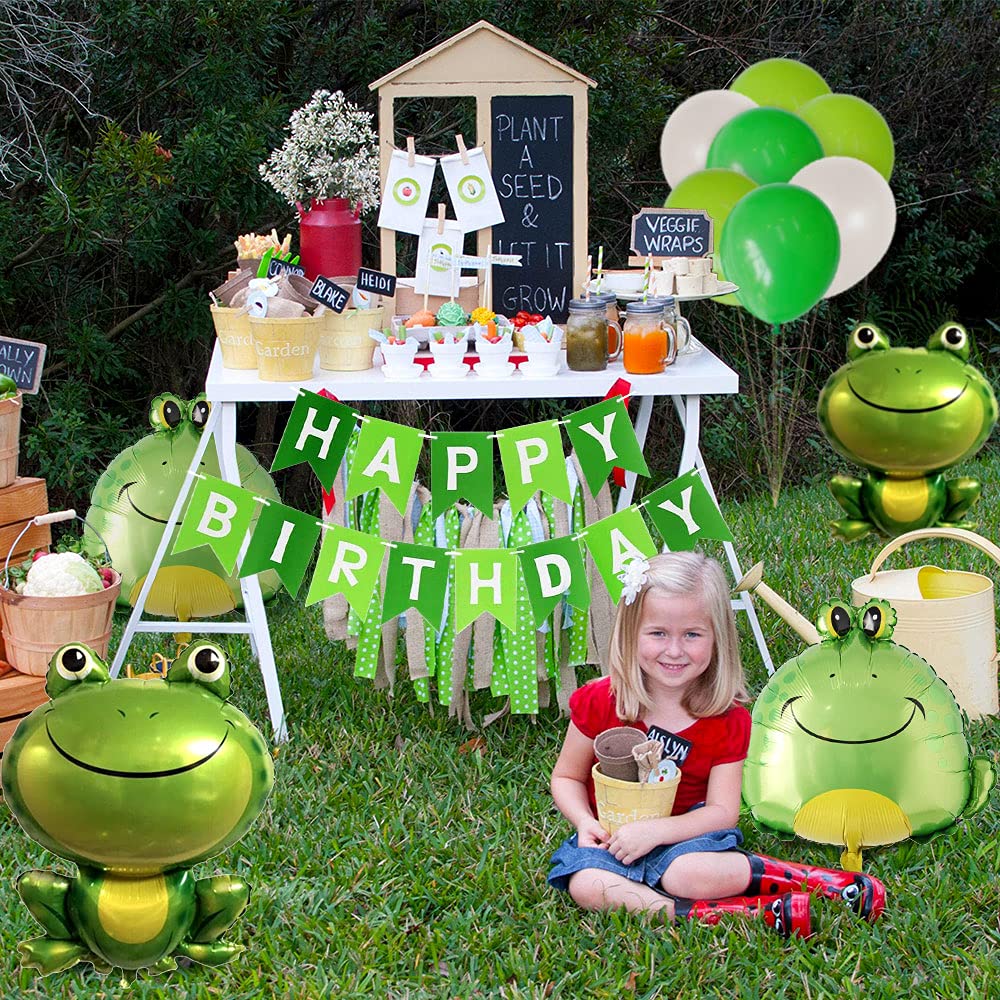 Laventy Frog Birthday Decoration Frog Balloon Frog Birthday Party Supplies Reptile Birthday Party Decorations Frog Princess Party Decoration Garden Birthday Decoration