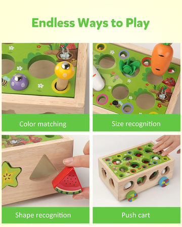 Coogam Wooden Shape Sorter Carrot Harvest Game, Multi-color, Medium, Educational Fine Motor Toy for 3-5 Year Olds