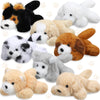 8-Piece Plush Pets Set, 5-Inch Assorted Stuffed Animals, Small Long-Hair Dogs For Kids, Classroom & Party Decorations
