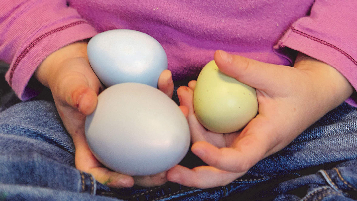 SIZESORTING EGGS