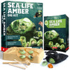 EDUMAN Amber Dig Kit-6 Artificial Sea Life Resin Specimens Glow in The Dark Oceanlife Fossil Excavation Set STEM Inspired Educational Toy for Kids Ages 6-12 for Boys & Girls