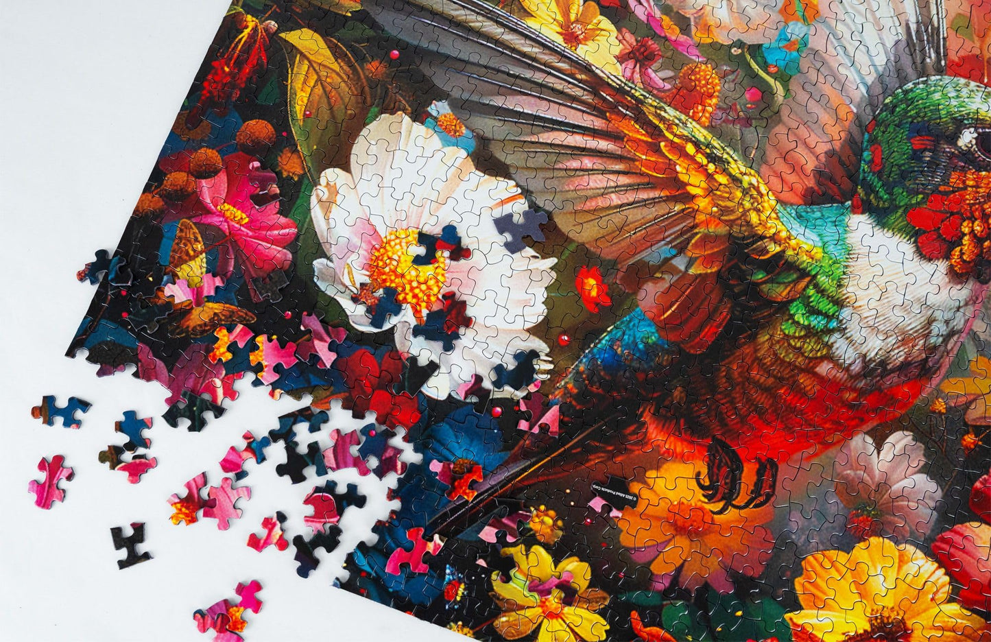 Springbok 1000 Piece Hummingbird Dream Puzzle - 24"x30" Cardboard, Vivid Hummingbird & Flowers Design