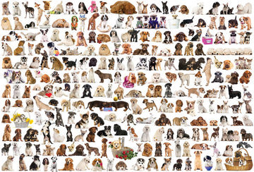 EuroGraphics The World of Dogs Puzzle, Small, Multicolor, Cardboard, Model 8220-0581