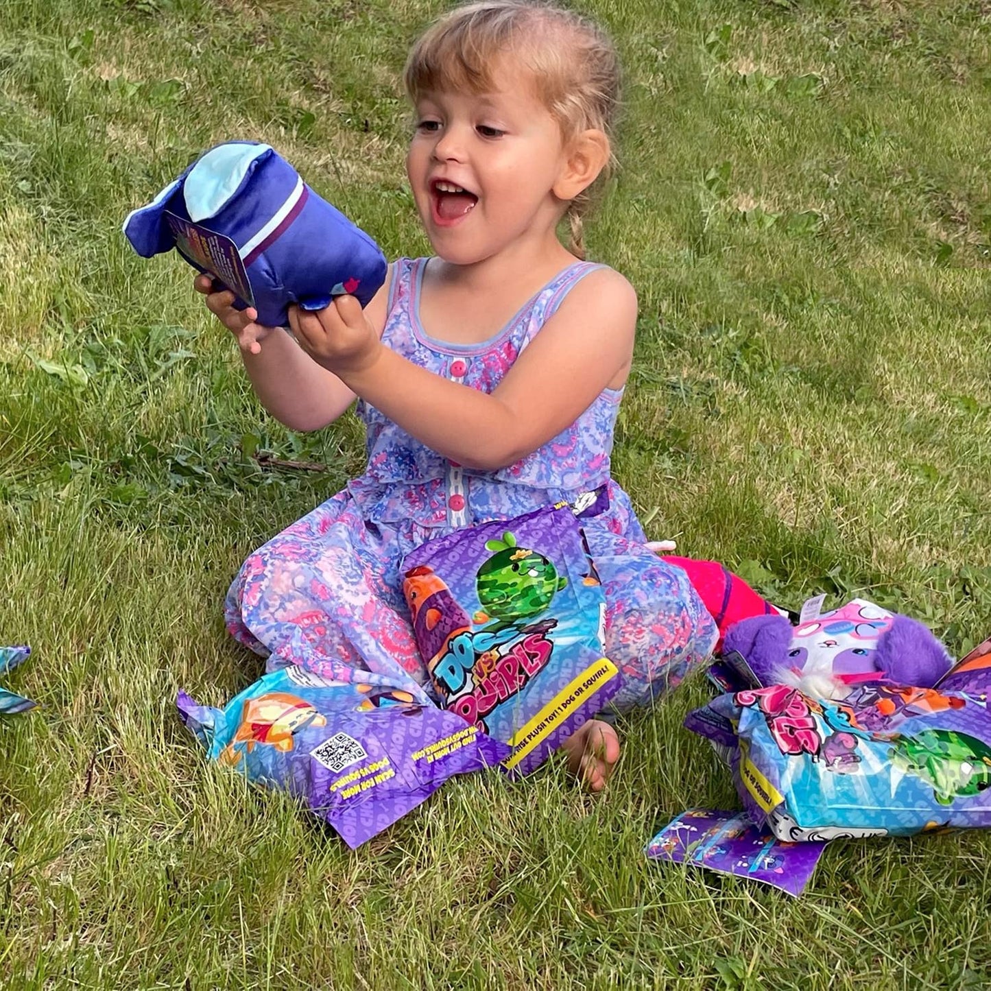 Dogs Vs Squirls - Mystery Bag - 1Pk - Chonk - Super-Soft & Bean-Filled Plushies! Collect These As Desk Pets, Fidget Toys, Or Sensory Toys - Great For Kids, Boys, & Girls!, 6 Inches (V2011)